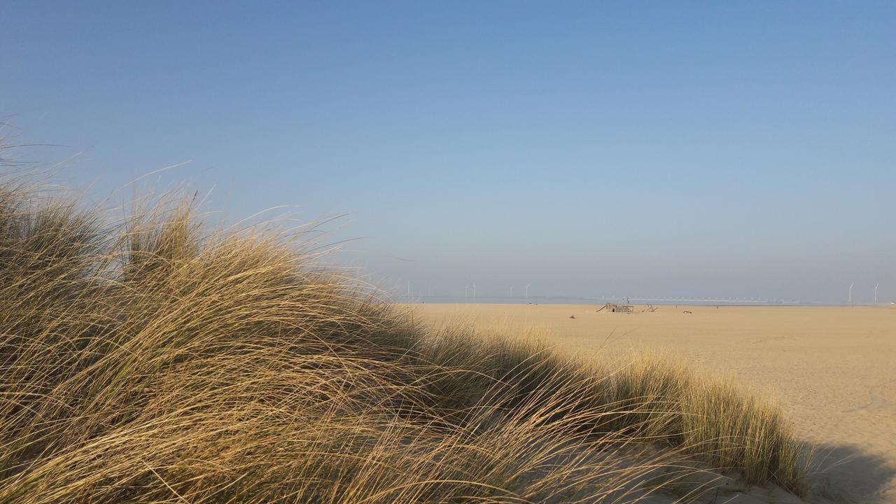 Vakantiehuizen Hofstede Elzenoord Vrouwenpolder Extérieur photo